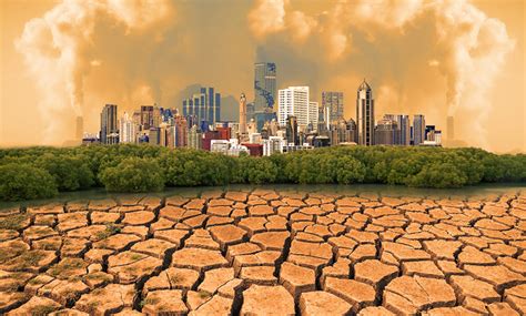 Calor y Sequía| Las consecuencias del cambio climático ...