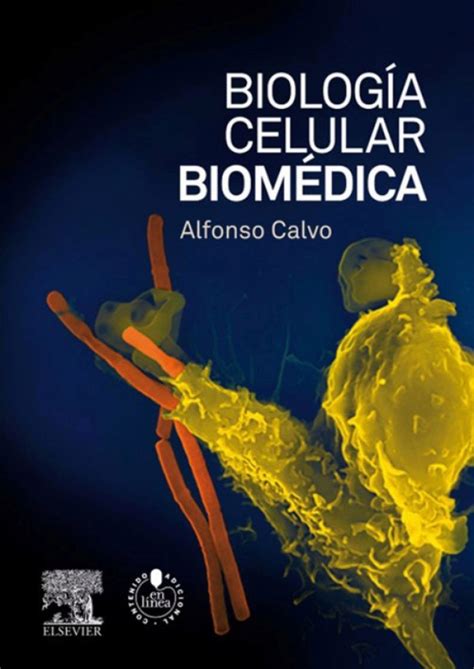 Calvo. Biologia celular biomedica