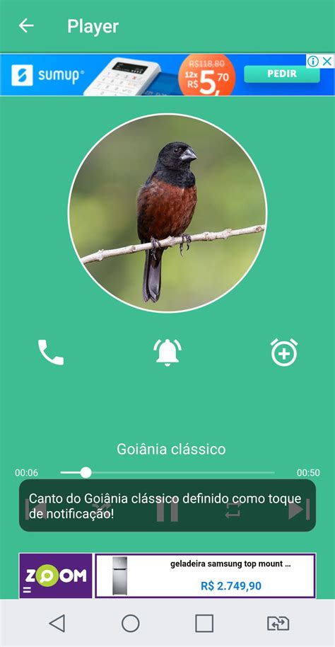 Camachuelo pájaro cantando for Android APK Download