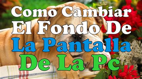 CAMBIAR EL FONDO DE ESCRITORIO EN WINDOWS 8 Cambiar Fondo ...