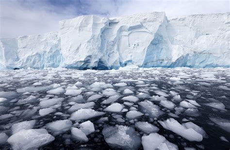 Cambio climático: La increíble imagen de unos perros en Groenlandia que ...