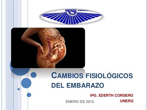 Cambios fisiológicos en el embarazo ederth cordero UNERG 2015