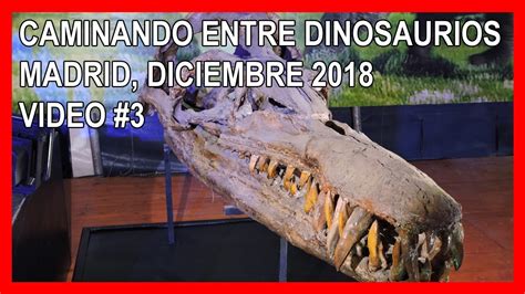 Caminando entre dinosaurios | WiZink Center | Madrid Diciembre de 2018 ...