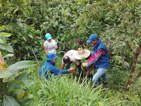 Campesinos le apuestan a la agricultura y la ganadería sostenible | CAR