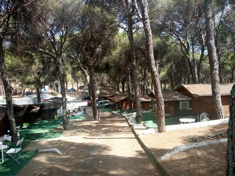 Camping Ardilla Roja Hiszpania