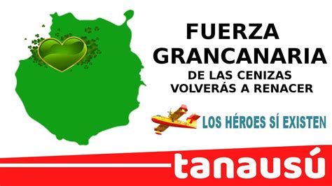 CanariasWeed.com – Comprar Marihuana en Las Palmas de Gran ...
