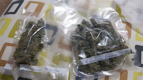 CanariasWeed.com – Comprar Marihuana en Las Palmas de Gran ...