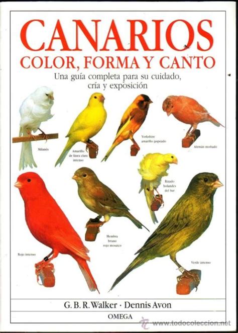 canarios   color forma y canto. dennis avon; g.   Comprar ...