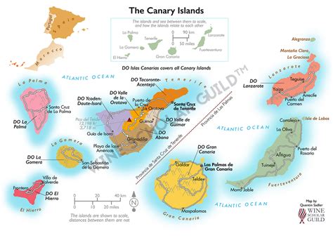 Canary Islands Wine Map