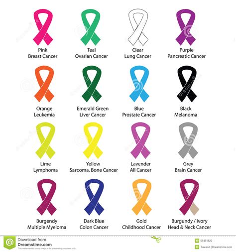 Cancer Color Ribbons Campaign Vector Stock Vector ...