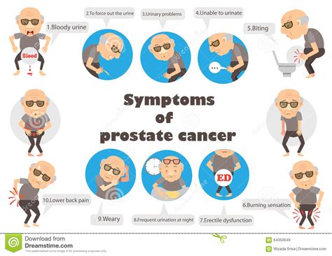 Câncer Da Próstata Dos Sintomas Ilustração do Vetor ...