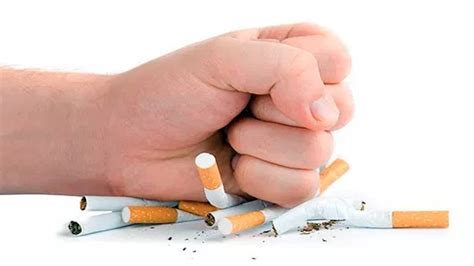 Câncer de boca: mais um motivo para parar de fumar   Correio do Brasil