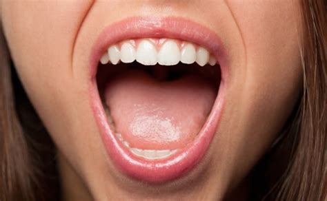 Câncer de boca: saiba o que é e como se prevenir! | Blog ...