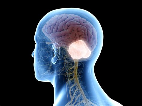 Cáncer de cerebro | Salud y Oncología