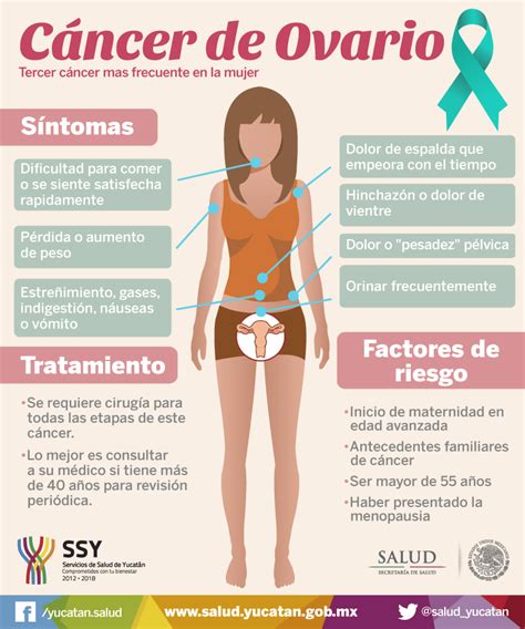 Cáncer de la mujer | Portfolio categories | Servicios de ...