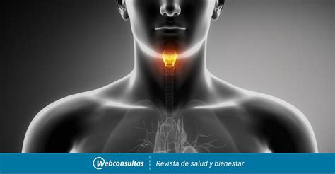 Cáncer de laringe Causas, síntomas y tratamiento
