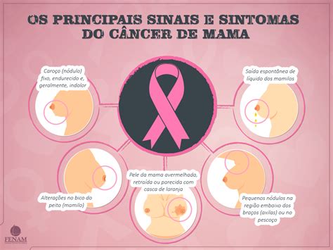 Câncer de mama: conheça as causas, sintomas e tratamentos ...