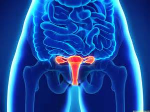 Cáncer de ovario, entre las enfermedades ginecológicas más ...