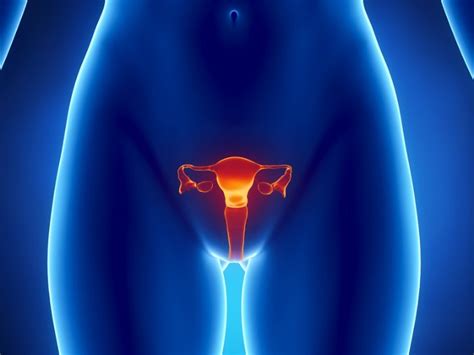 Cáncer de ovario: Significado, síntomas y tratamiento | La Verdad Noticias
