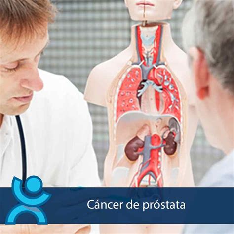 Cáncer de próstata | Dr. Bartolomé Lloret | Urólogo en Alicante