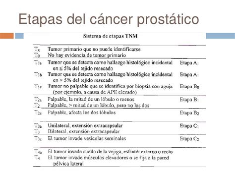 Cancer De Prostata Etapas   SEO POSITIVO