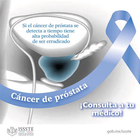 Cáncer de Próstata: Factores de riesgo y prevención | Instituto de ...