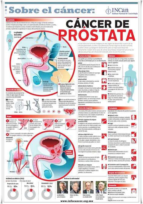 CANCER DE prostata PUEBLA SANA   Buscar con Google | Cáncer de próstata ...
