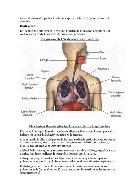 Cancer de pulmon cecilia grierson