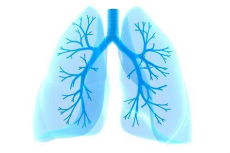 Cáncer de pulmón, qué es y a quién afecta