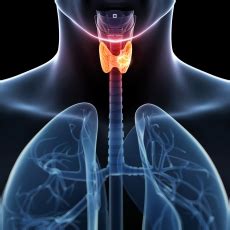Cáncer de tiroides: MedlinePlus en español