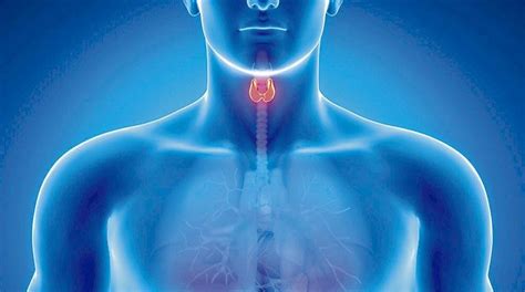Cáncer de tiroides: un tumor en alza | Los Tiempos