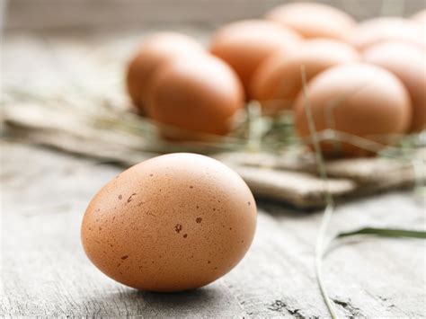 Cancer fighting eggs produced from GMO hens   Easy Health ...