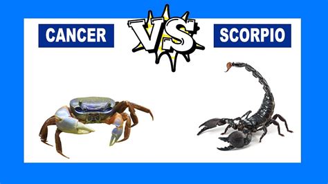 Cancer vs. Scorpio: Who Is The Strongest Zodiac Sign ...