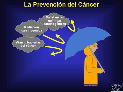 Cancerología de Quintana Roo, A. C. : La prevención del cáncer