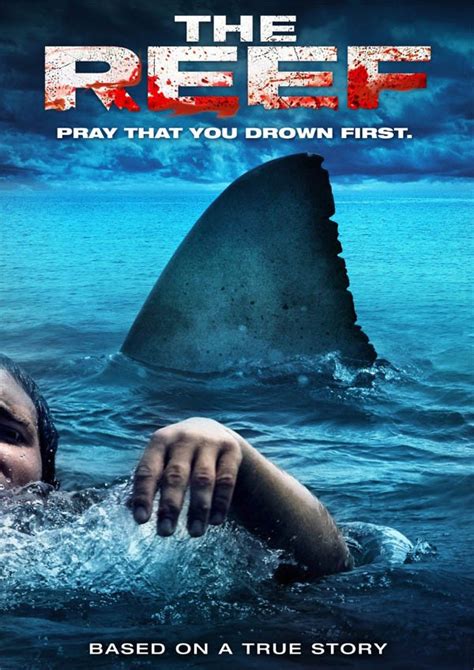 Can’t Get Enough Of Megalodon? Top 5 Movies To Watch In ...