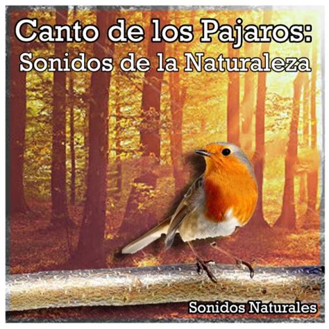 Canto de los Pajaros by Sonidos Naturales on Amazon Music ...