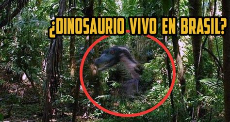 Captan dinosaurio vivo en Brasil octubre 2016 / Grandes enigmas y ...