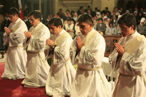 Capuchinos Colombia – Bogotá Se necesita sacerdotes: La ...