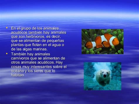 Caracteristicas de animales acuaticos