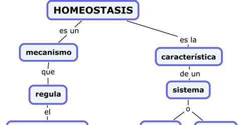 Caracteristicas de los sistemas de informacion: Homeostasis