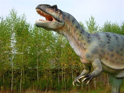 Características del Tyrannosaurus Rex  Tiranosaurio , el mayor ...