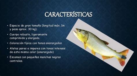 Características fenotípicas y genotípicas en peces