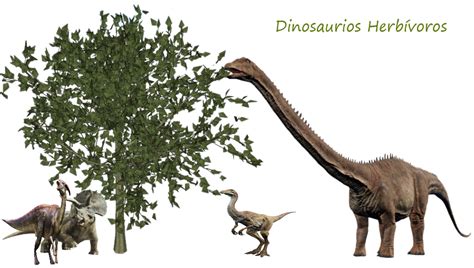 Características información  【 Dinosaurios HERBÍVOROS