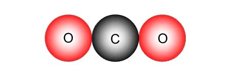 Carbon dioxide units contain one carbon atom and two ...