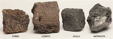 Carbón | Rocas | Pinterest