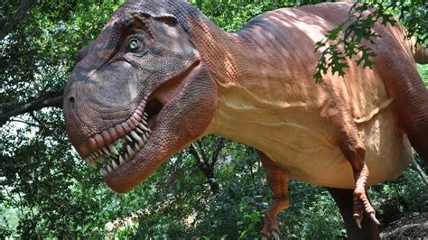 Carnivores Dinosaur Hunter Reborn T Rex wtf ar you dying ...
