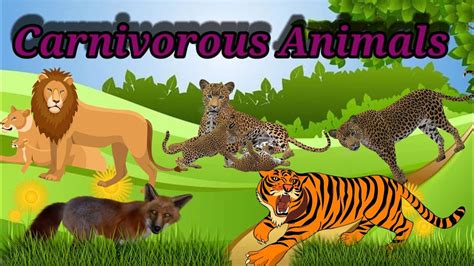 CARNIVOROUS ANIMALS NAME S. || Wild Animals || List of ...