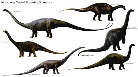 Carnivorous dinosaurs clipart 20 free Cliparts | Download ...