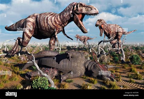 Carnivorous T Rex Dinosaurs Pack Hunting Stock Photo Alamy