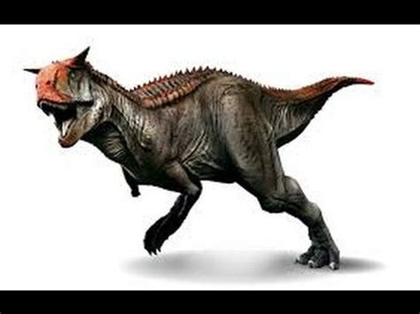Carnotaurus | Enciclopedia sobre Dinosaurios   YouTube